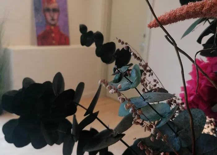 U-hotel Aduana 2* リバデオ